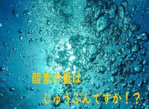 【水耕栽培】水が腐る環境での野菜栽培は……酸素不足に注意せよ！！